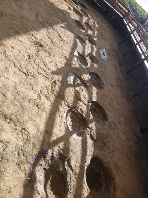 Trail of fossilized sauropod dinosaur footprints in sandstone, Dinosaur Route, Tacuarembó