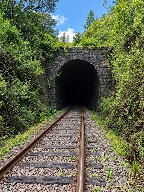 Entrada de piedra del túnel de Bañado de Rocha, rodeada de monte nativo
